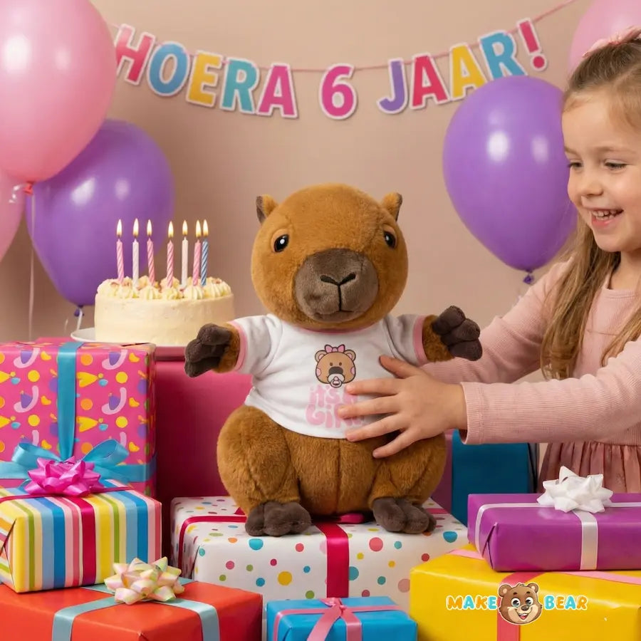 Cadeau meisje 6 jaar