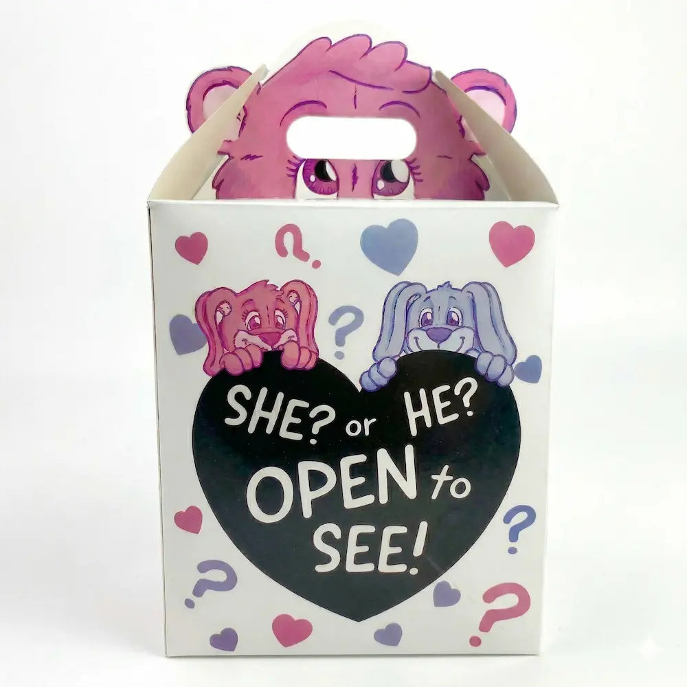 Gender Reveal Doos – Surprise Box "She or He"